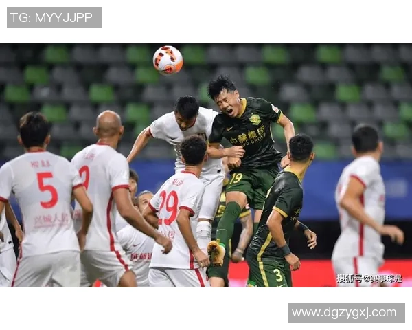 成都排球队以81分领跑精英赛积分榜展现强大实力